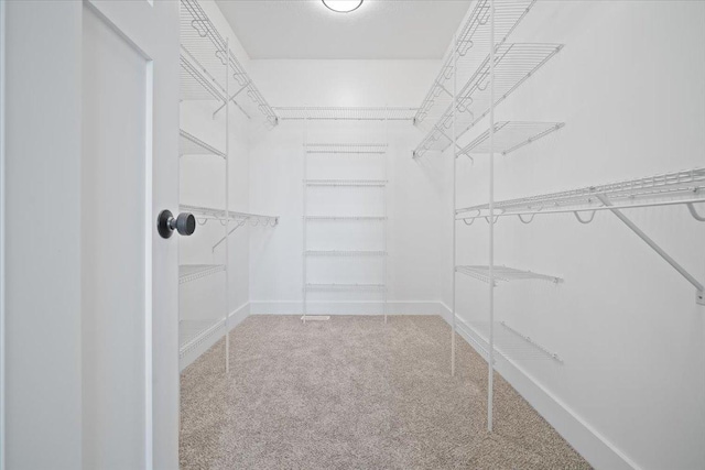 walk in closet with carpet floors