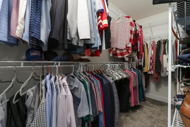 spacious closet featuring carpet flooring