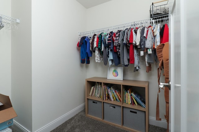 spacious closet featuring carpet floors