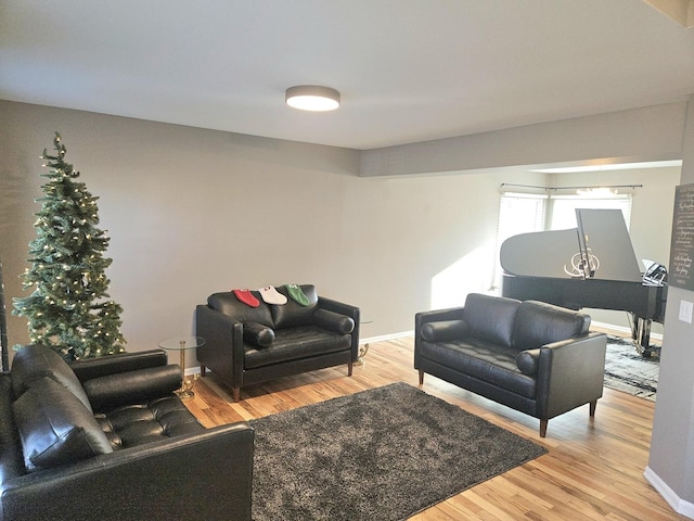 living room with wood-type flooring