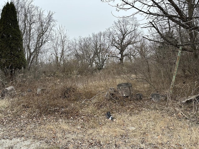 509 Oxford Pl, Lockport IL, 60441 land for sale