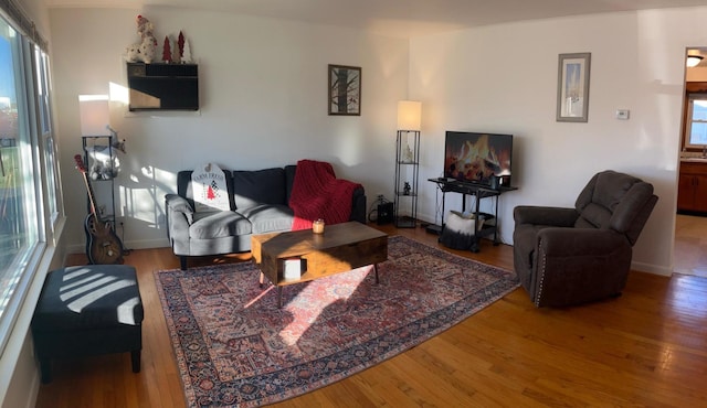 living room featuring hardwood / wood-style flooring