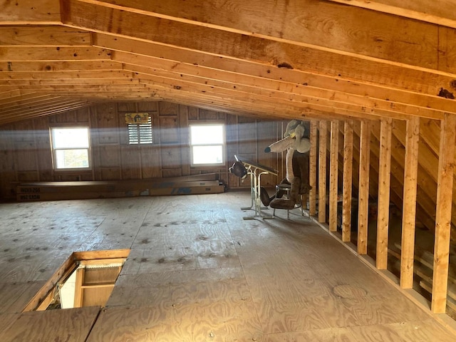 unfinished attic featuring plenty of natural light