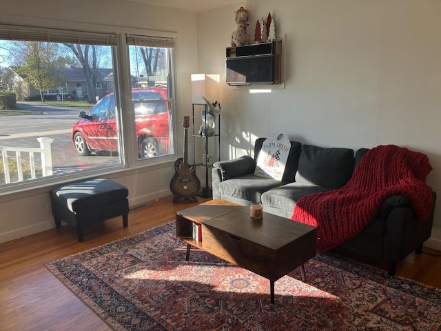 living room featuring hardwood / wood-style flooring