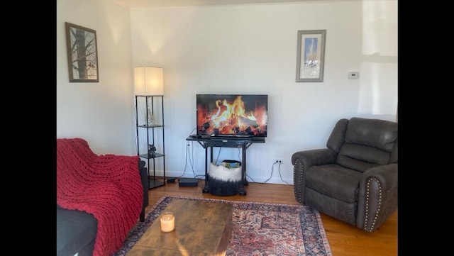 sitting room featuring hardwood / wood-style flooring