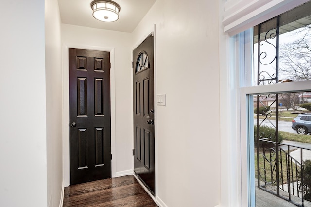 foyer entrance featuring dark hardwood / wood-style floors