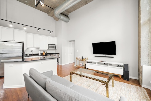 living room featuring dark hardwood / wood-style flooring, a high ceiling, and sink