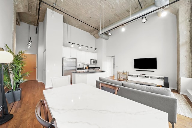 living room featuring wood-type flooring and a high ceiling