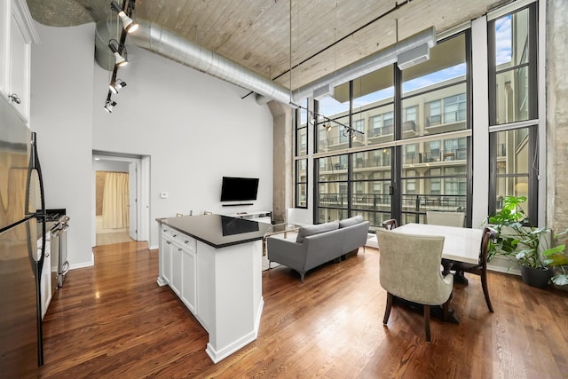 interior space with floor to ceiling windows, dark hardwood / wood-style flooring, a towering ceiling, and a wealth of natural light