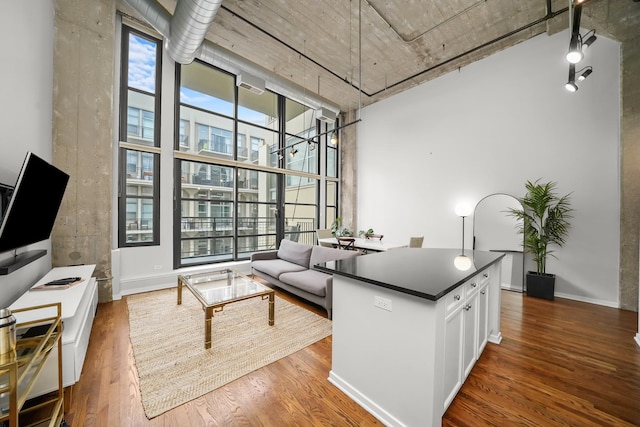 living room with a high ceiling, hardwood / wood-style flooring, and a healthy amount of sunlight