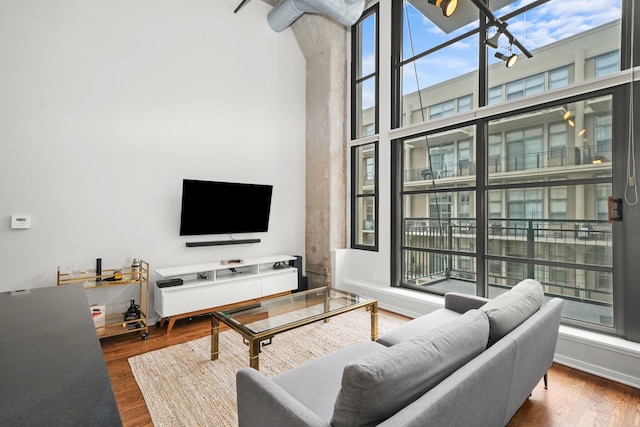 living room with dark hardwood / wood-style floors