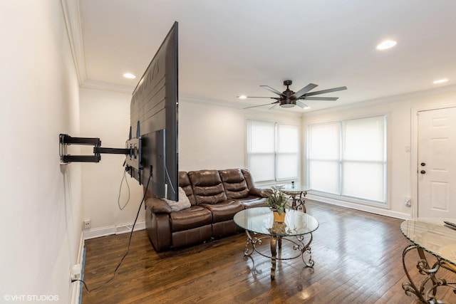 living room with ceiling fan, dark hardwood / wood-style floors, and ornamental molding