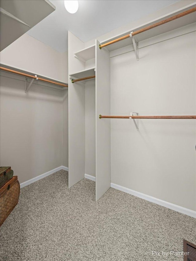 1154 Dovercliff Way, Crystal Lake, IL 60014 - walk in closet featuring carpet floors