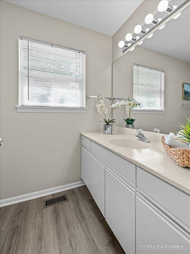 1154 Dovercliff Way, Crystal Lake, IL 60014 - bathroom featuring vanity, wood finished floors, and plenty of natural light