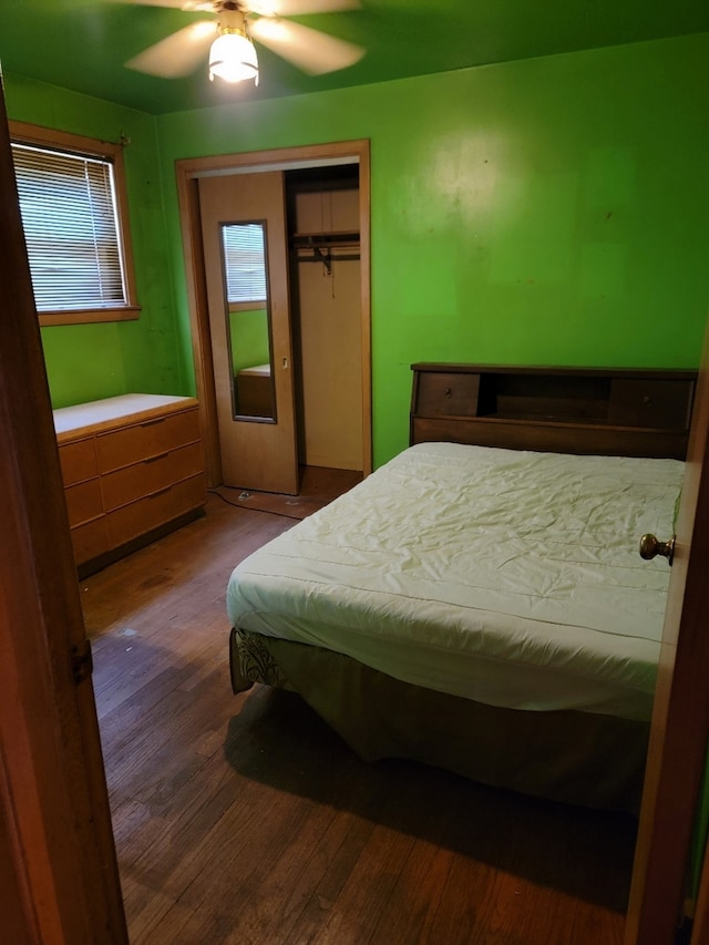 bedroom with ceiling fan, a closet, and hardwood / wood-style floors