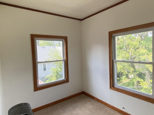 carpeted empty room featuring crown molding and a healthy amount of sunlight