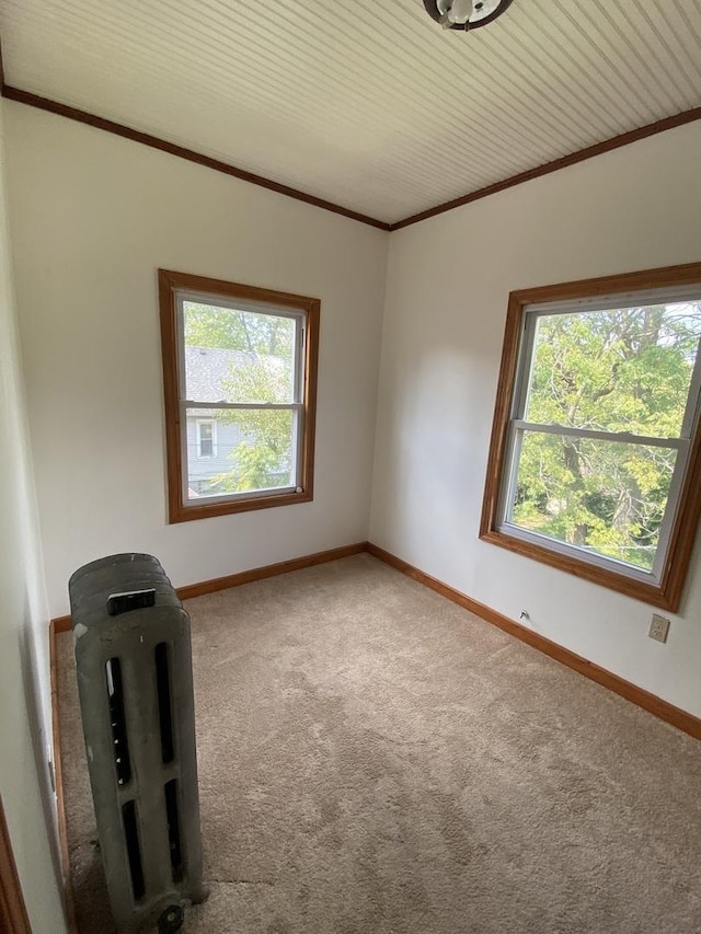 spare room featuring carpet flooring, ornamental molding, and wood ceiling