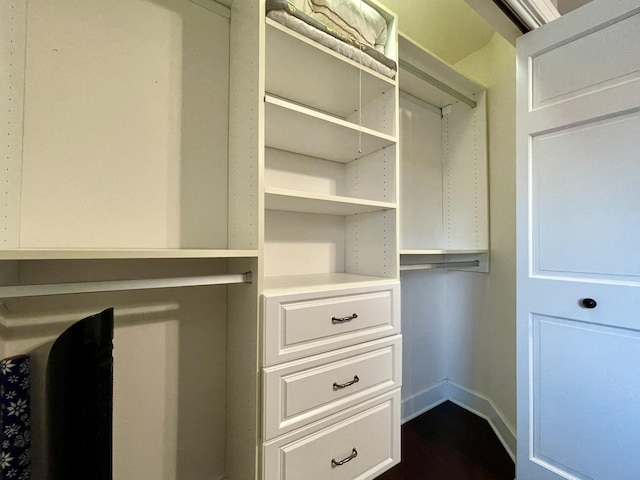 view of walk in closet