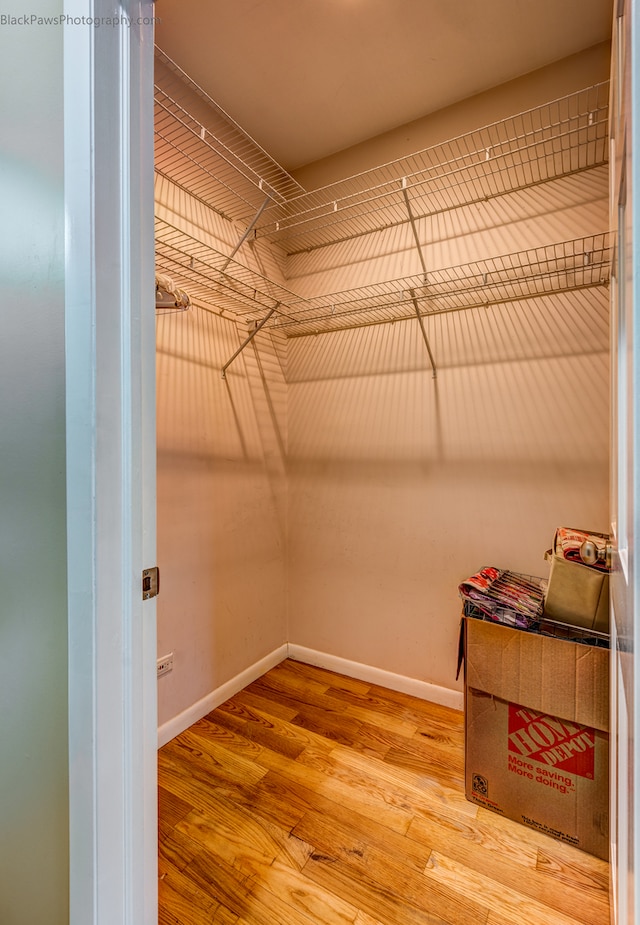 walk in closet featuring hardwood / wood-style flooring