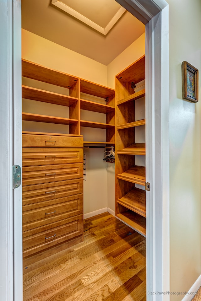 spacious closet featuring hardwood / wood-style flooring