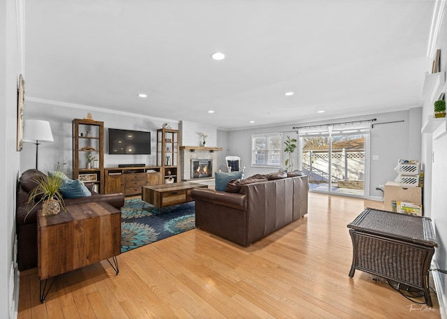 living room featuring a fireplace, light wood-type flooring, and crown molding