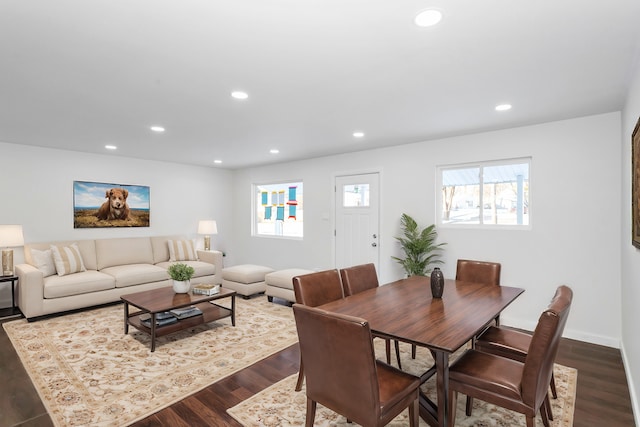 dining room featuring hardwood / wood-style floors