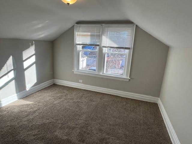 bonus room featuring carpet and vaulted ceiling