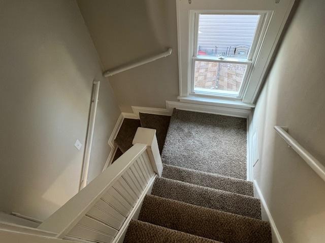 stairs with carpet