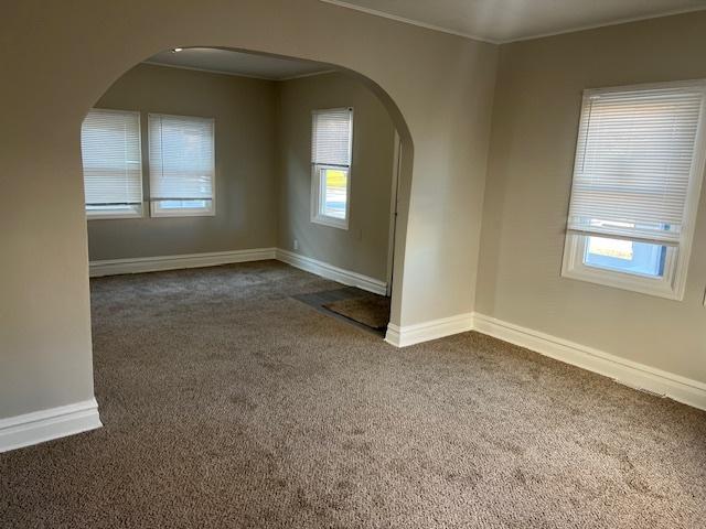 empty room with a wealth of natural light, dark carpet, and ornamental molding