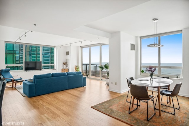 living room featuring a water view, wood-type flooring, and track lighting