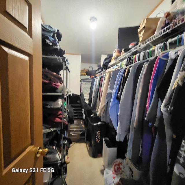 walk in closet featuring carpet floors