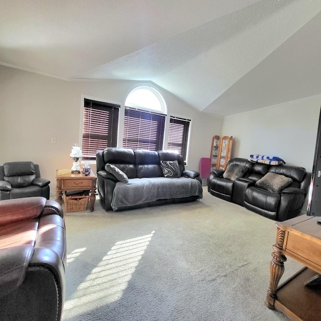 living room featuring a textured ceiling, carpet, and vaulted ceiling