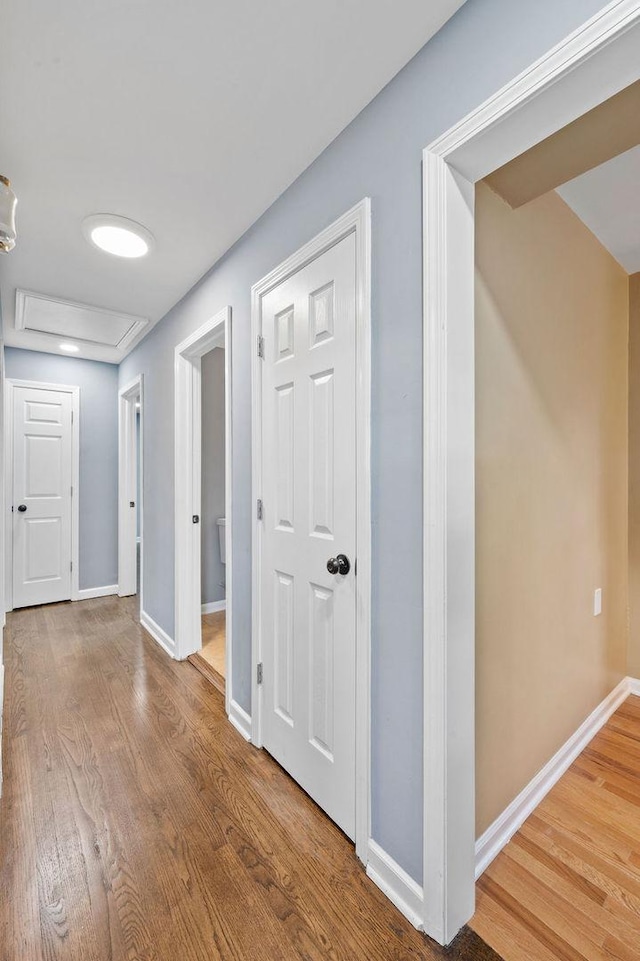 corridor with hardwood / wood-style floors