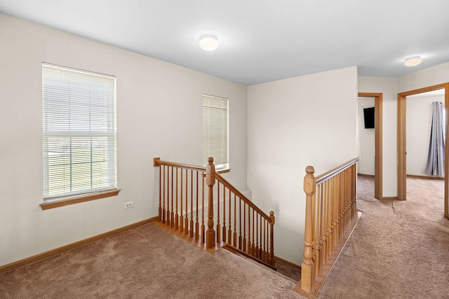 hallway with carpet floors