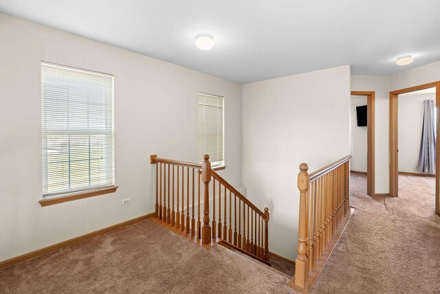 5337 Crosswind Dr, Richton Park, IL 60471 - photo 16