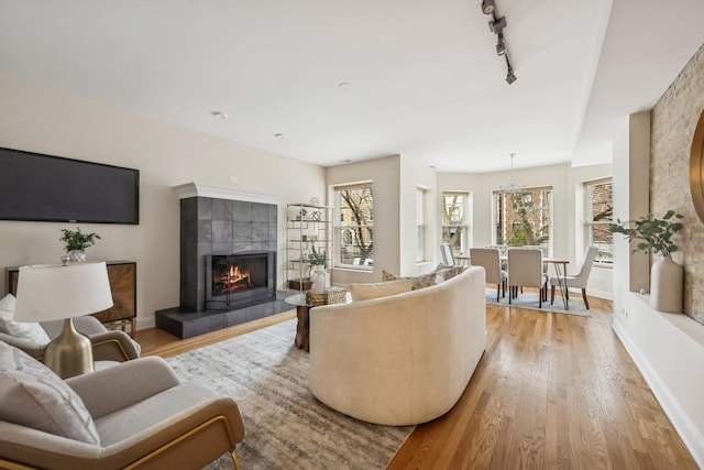 living room with a tiled fireplace, track lighting, and light hardwood / wood-style flooring