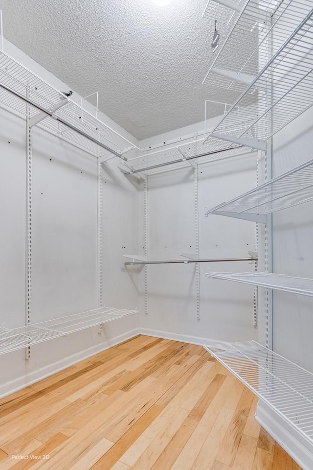 spacious closet with hardwood / wood-style floors