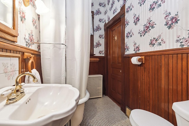 bathroom with wood walls, toilet, and sink