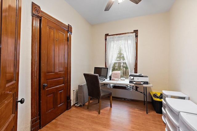 office featuring radiator heating unit, light wood-type flooring, and ceiling fan