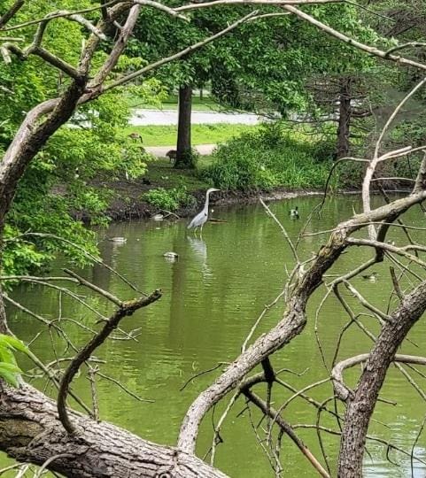 water view