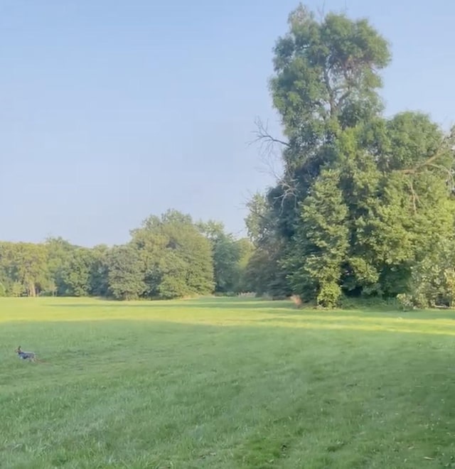 view of community with a yard