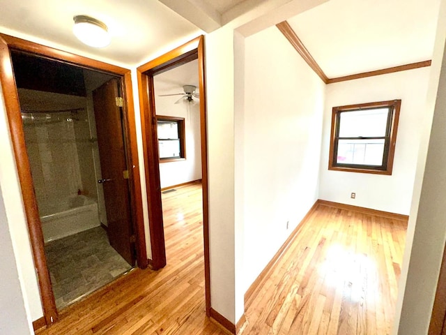 hall featuring ornamental molding, light hardwood / wood-style floors, and plenty of natural light