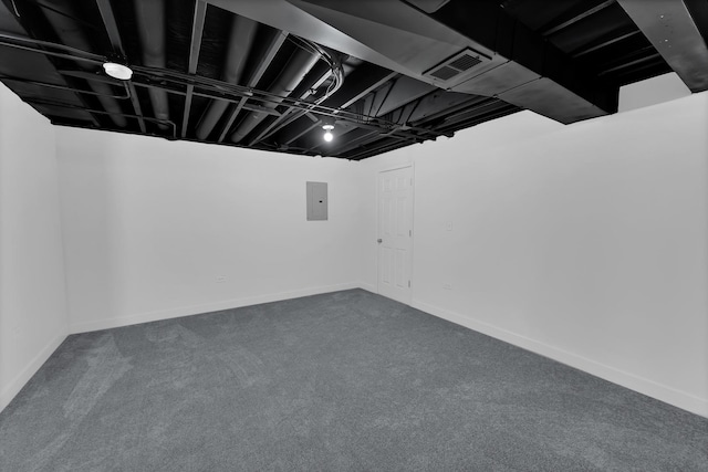 basement featuring electric panel and carpet