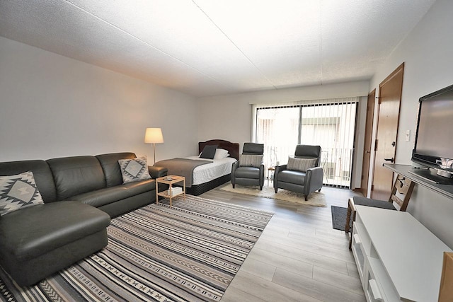 living room with light hardwood / wood-style floors