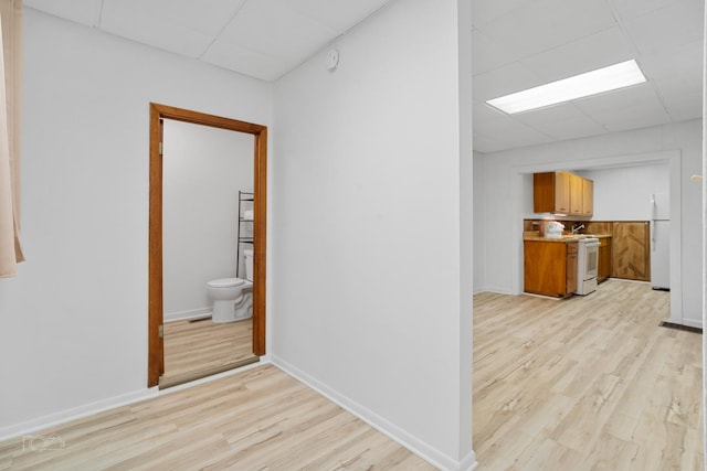 hallway with a drop ceiling and light hardwood / wood-style flooring