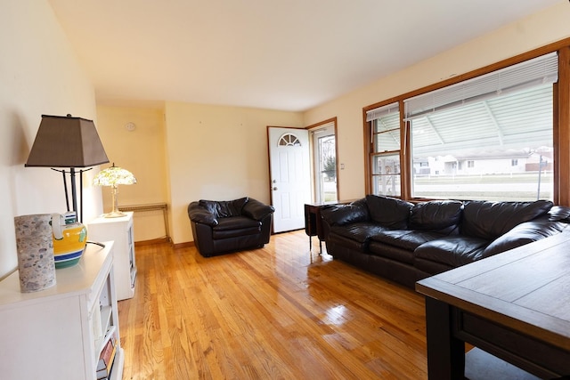 living room with light wood-type flooring