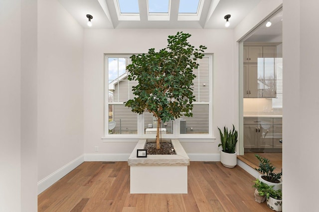 interior space featuring wood-type flooring and a skylight