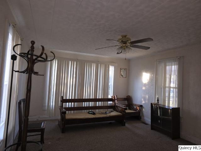 living area with a textured ceiling, carpet floors, and ceiling fan