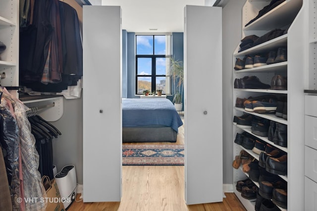 walk in closet featuring wood finished floors