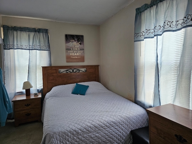 carpeted bedroom with multiple windows